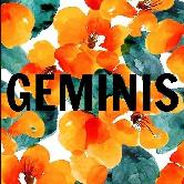 Geminis - logo